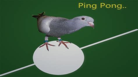 Pigeons playing ping - No, pigeons cannot play ping pong. They lack the physical and cognitive abilities required to play ping pong. While they are skilled at navigating and finding food, the requirements for ping pong, such as hand-eye coordination and problem-solving, are beyond their capabilities. Let’s delve into the fascinating world of pigeon behavior and ...